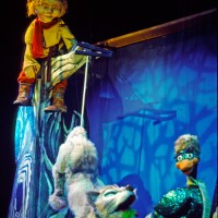 Gallery 5 - Peter and the Wolf
