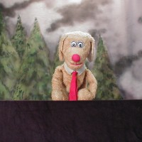 Gallery 2 - Rufus the Rednosed Raindog