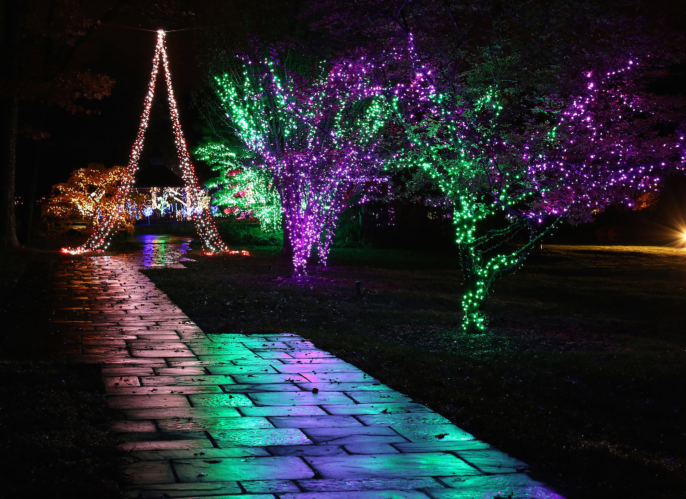 Garden of Lights at Brookside Gardens.