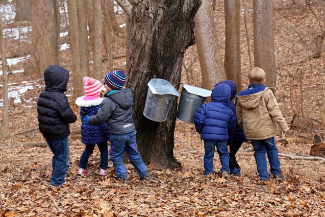 Gallery 1 - Maple Sugaring Days