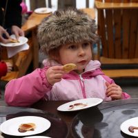 Gallery 3 - Maple Sugaring Days