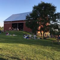Gallery 1 - Music on the Farm