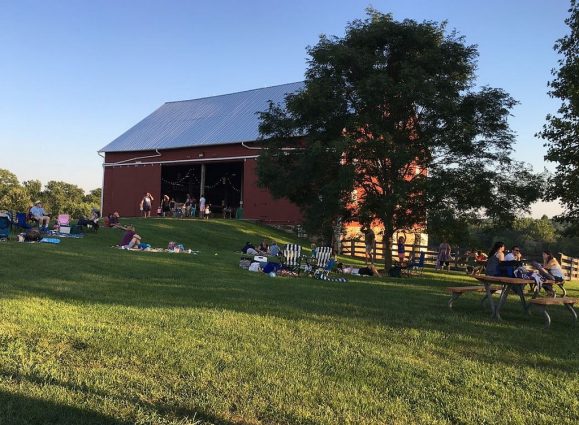 Gallery 1 - Music on the Farm
