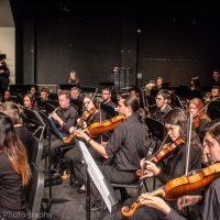 Gallery 3 - Symphonies of Light: Video Game Music Concert