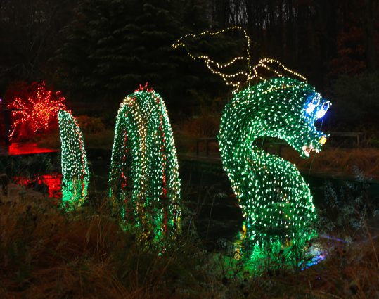 Nessie the Loch Ness Monster will have a new smoke feature this year at Brookside Gardens’ Garden of Lights.
