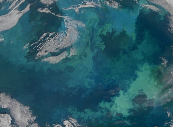 Gallery 4 - This image of phytoplankton blooming in the Barents Sea off northern Russia and Scandinavia was taken from NASA’s Operational Land Imager.