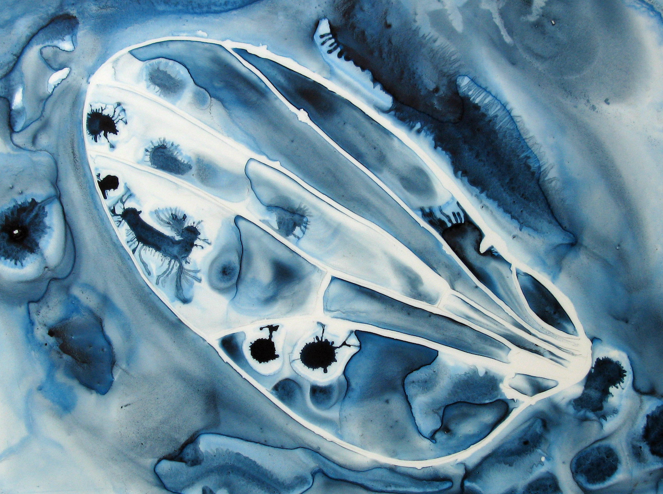 Gallery 4 - Michele Banks specializes in ink paintings of various views of the wing of the fruit fly (drosophia).