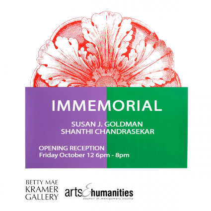 Gallery 1 - IMMEMORIAL: Shanthi Chandrasekar + Susan J. Goldman