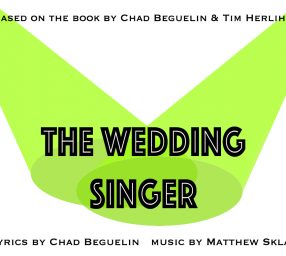 Gallery 1 - The Wedding Singer