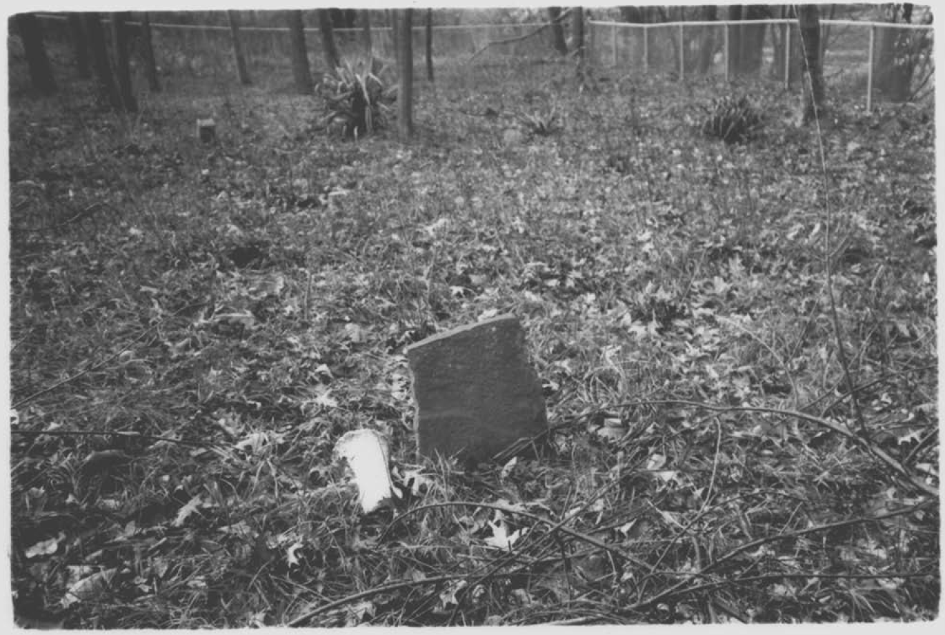 Tobytown Cemetery, circa 1993