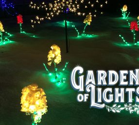 Gallery 2 - Gardens of Lights Exhibit