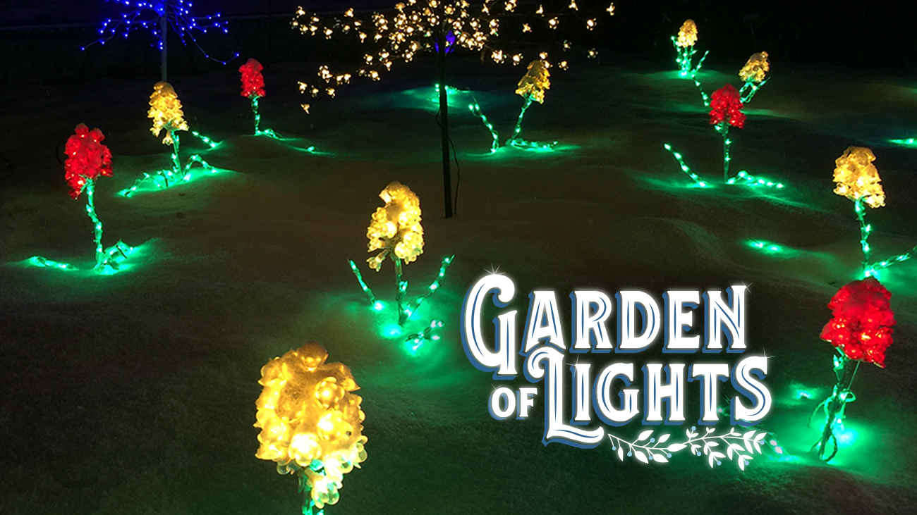 Gallery 2 - Gardens of Lights Exhibit