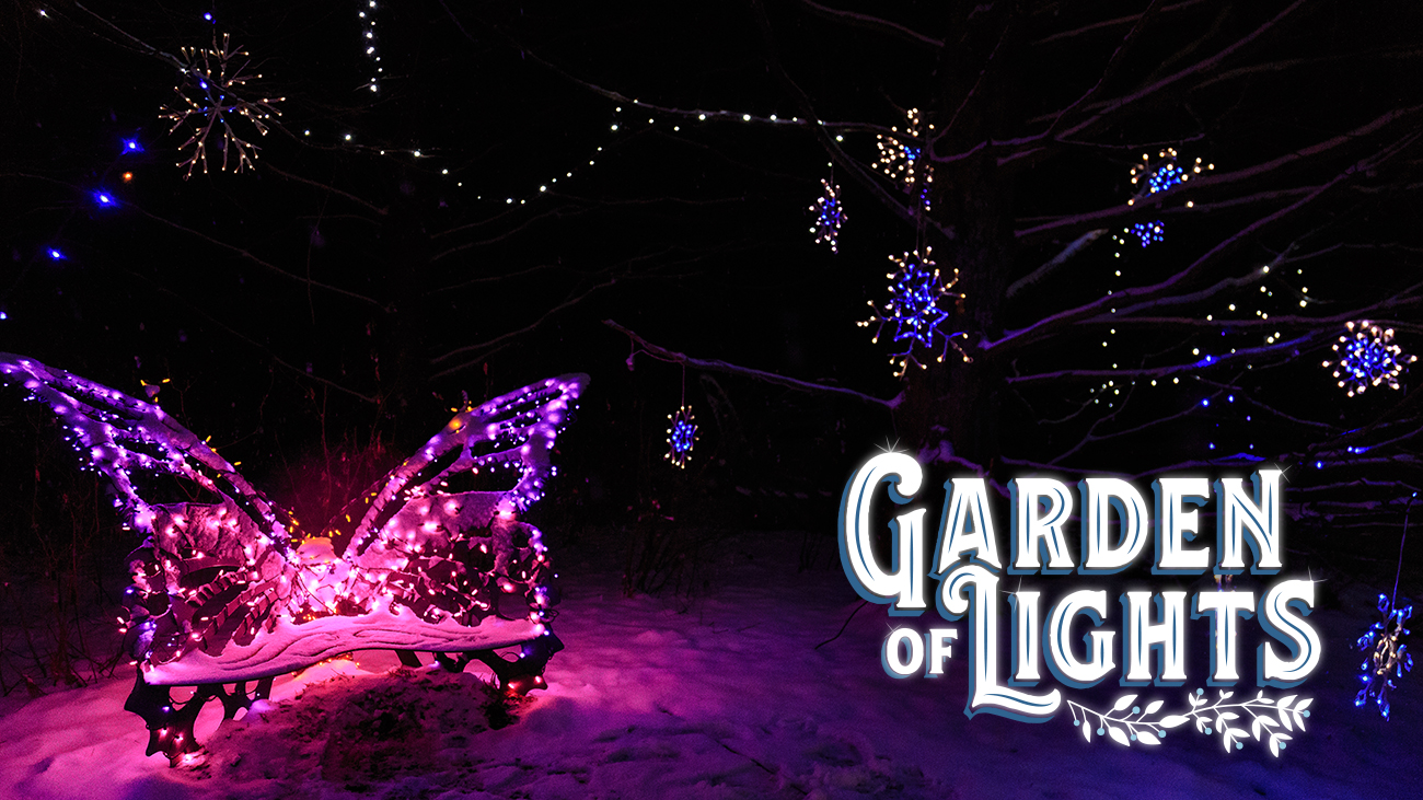 Gallery 5 - Gardens of Lights Exhibit