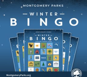 Virtual Winter Bingo