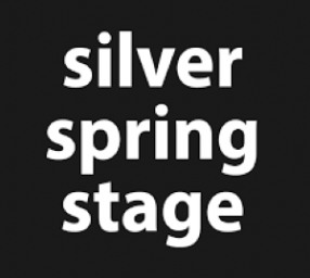 Silver Spring Stage Call for Director Proposals