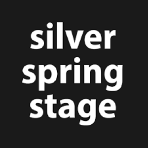 Silver Spring Stage Call for Director Proposals