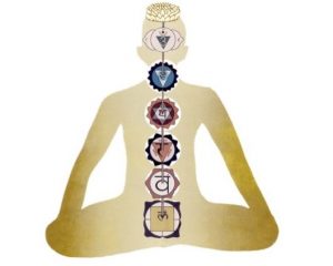 Yoga Philosophy and Meditation Series