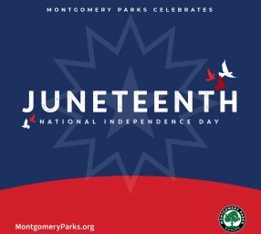 Juneteenth Weekend at Woodlawn Manor Cultural Park
