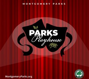 Parks Playhouse: Seltzer: A Sober Comedy Show