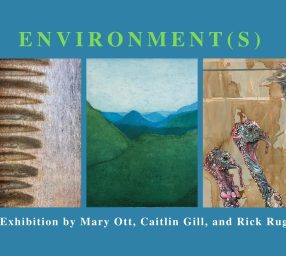 Environment(s) Art Exhibition Opening Reception