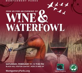 Wine and Waterfowl