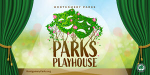 Parks Playhouse: Pinot & Augustine with Happenstance Theater