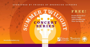 Summer Twilight Concert Series