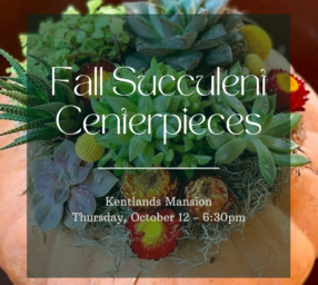 Fall Succulent Centerpieces