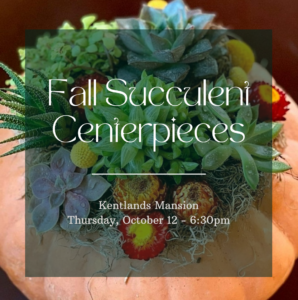 Fall Succulent Centerpieces