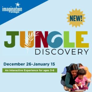 Jungle Discovery
