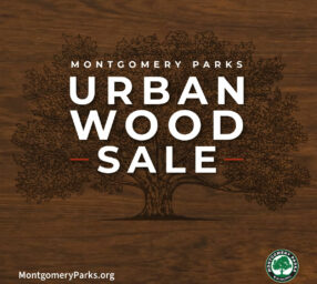 Montgomery Parks’ Urban Wood Sale