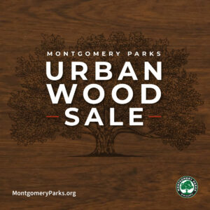 Montgomery Parks’ Urban Wood Sale